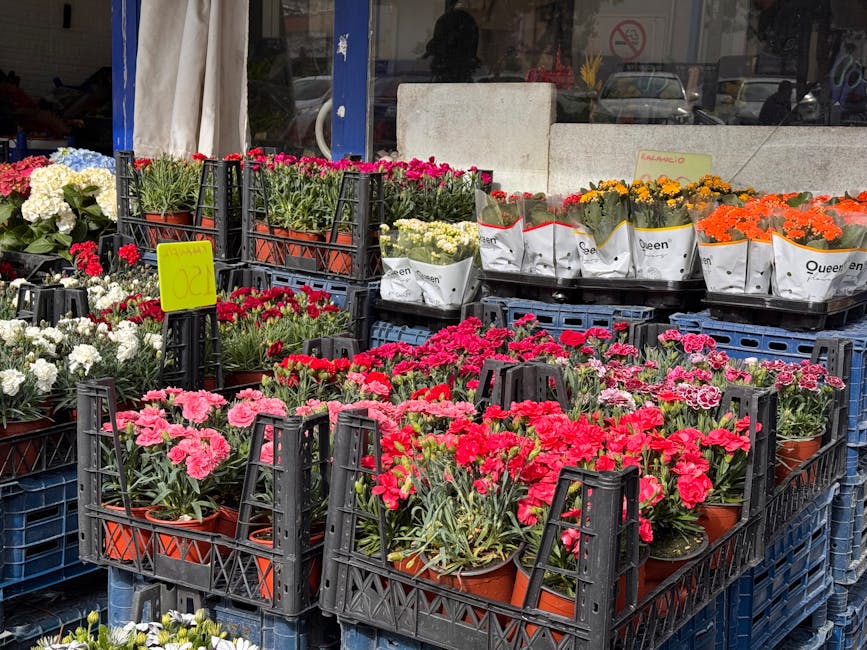A display of various potted flowering plants outside a flower shop, featuring vibrant pink, red, white, orange, and yellow blooms, arranged in black plastic crates and white paper wrappers. The flower